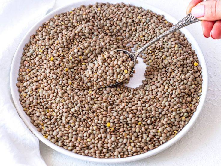 Iranian Lentil Varieties Explaine; Green, Red, Yellow, and Specialty Types
